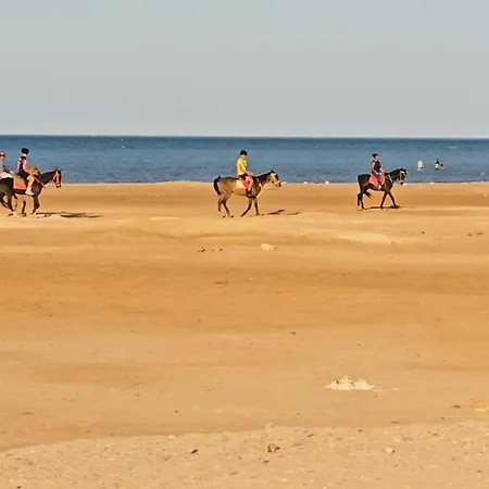 منتجع طيبة فيو Tiba View